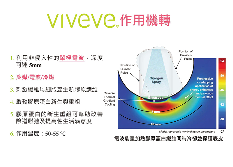 薇薇電波 作用機轉 溫度