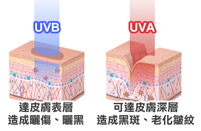 全像超皮秒, 皮秒, PICOWAY, 蜂巢, 黑斑, 曬斑, UVA, UVB