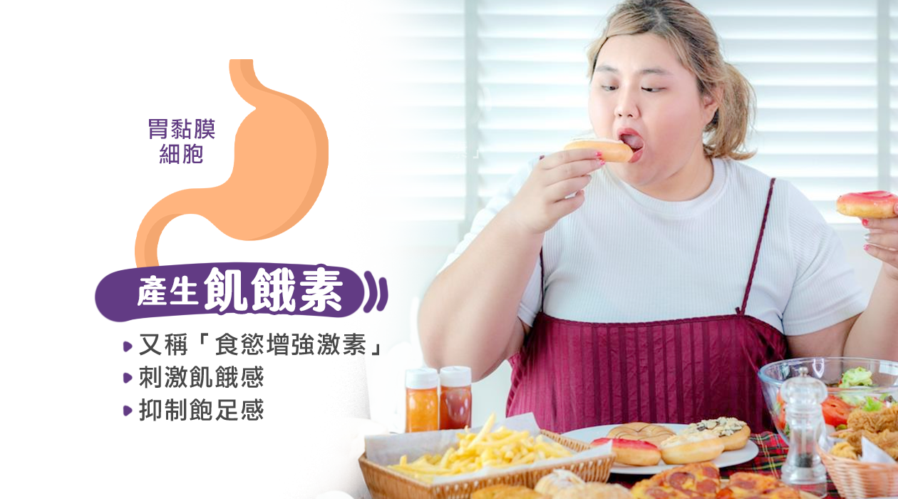 減重治療 善纖達 減肥筆 什麼是飢餓素