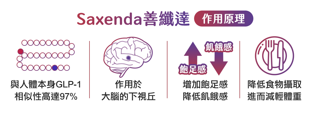 善纖達減重筆作用原理