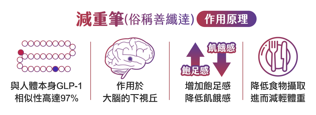 善纖達, 減重筆, 作用原理