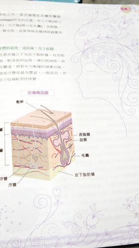 面魔力皮膚專科醫師面膜真皮層,雅丰美膚診所