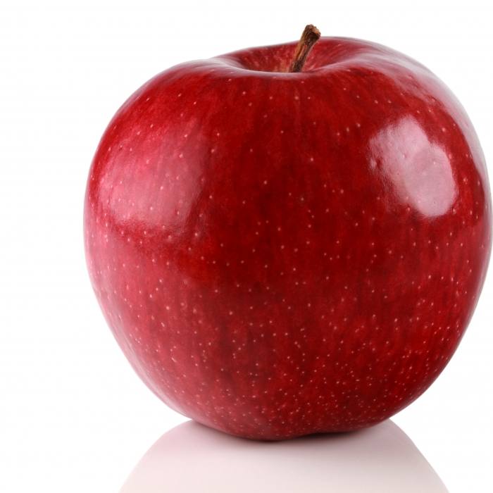 59shutterstock_80746153.jpg