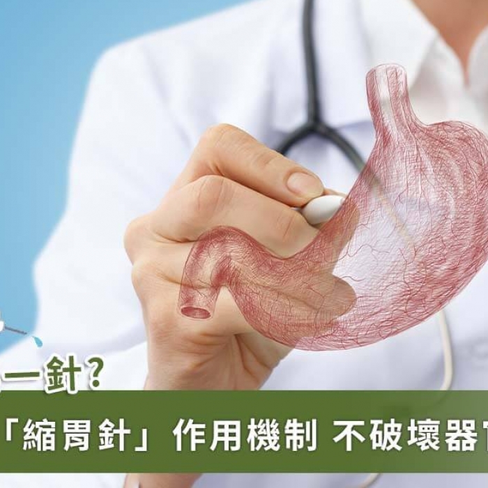 縮胃針