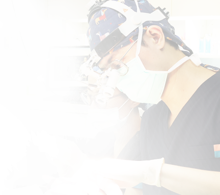 doctor list banner kelvin