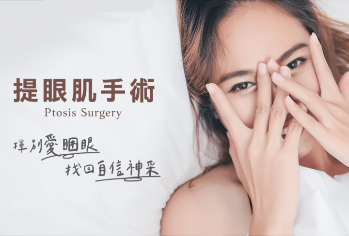 提眼肌手術