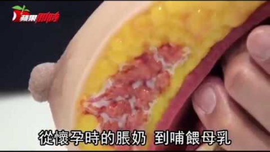 Embedded thumbnail for 【蘋果日報】媽媽好心酸 生完胸部變這樣